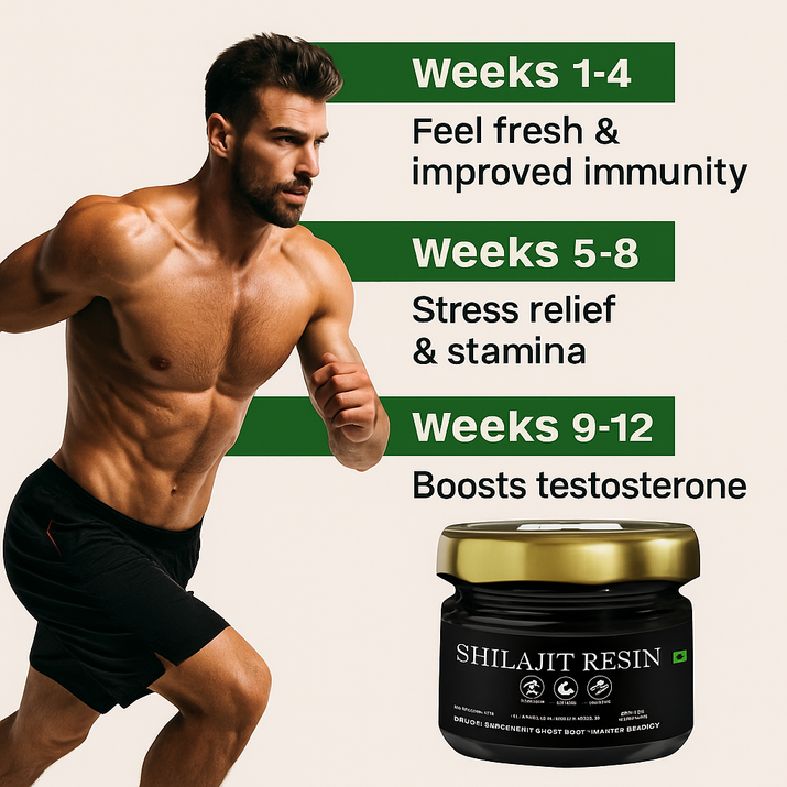 Himalayan Energy Boost Shilajit(20gm)