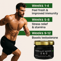 Himalayan Energy Boost Shilajit(20gm)