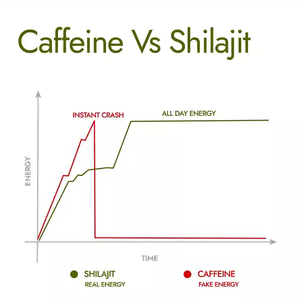 Himalayan Energy Boost Shilajit(20gm)