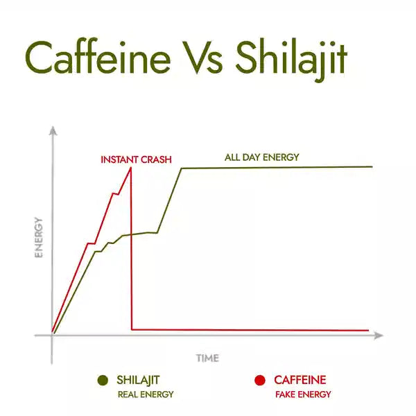 Himalayan Energy Boost Shilajit(20gm)