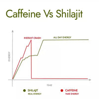 Himalayan Energy Boost Shilajit(20gm)